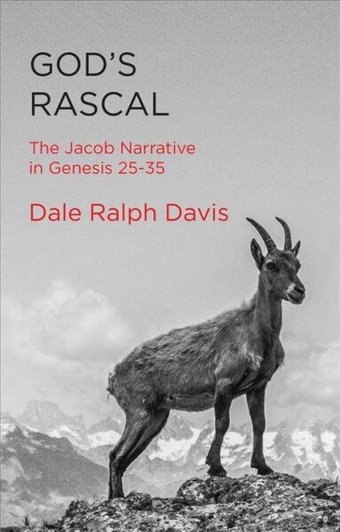 God's Rascal: The Jacob Narrative in Genesis 25-35 kaina ir informacija | Dvasinės knygos | pigu.lt