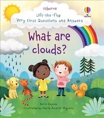 Very First Questions and Answers What are clouds?: What are Clouds? kaina ir informacija | Knygos mažiesiems | pigu.lt