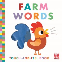 Touch-and-Feel: Farm Words: Board Book kaina ir informacija | Knygos mažiesiems | pigu.lt