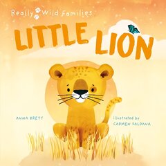 Little Lion: A Day in the Life of a Lion Cub цена и информация | Книги для самых маленьких | pigu.lt
