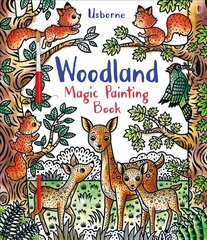 Woodland Magic Painting Book kaina ir informacija | Knygos mažiesiems | pigu.lt