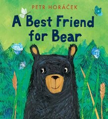 Best Friend for Bear цена и информация | Книги для самых маленьких | pigu.lt