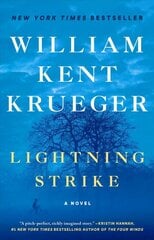 Lightning Strike: A Novel kaina ir informacija | Fantastinės, mistinės knygos | pigu.lt