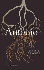 Antonio цена и информация | Фантастика, фэнтези | pigu.lt