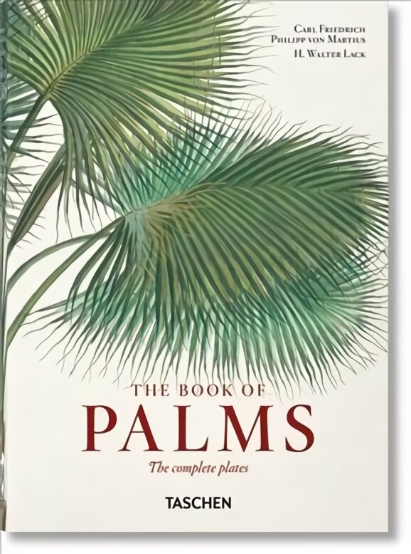 Martius. The Book of Palms. 40th Ed. Multilingual edition kaina ir informacija | Knygos apie meną | pigu.lt