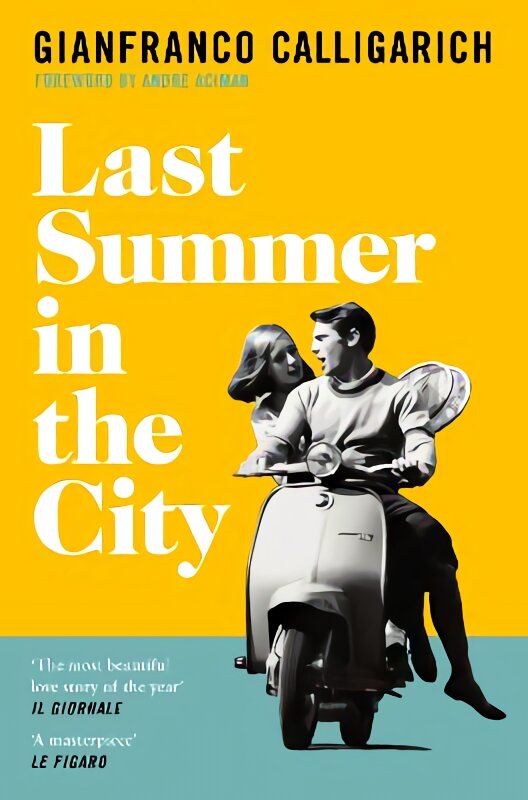 Last Summer in the City цена и информация | Fantastinės, mistinės knygos | pigu.lt