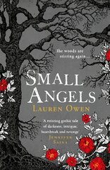 Small Angels: A 'beautifully written modern ghost story' New York Times kaina ir informacija | Socialinių mokslų knygos | pigu.lt