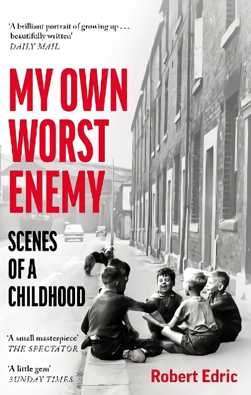 My Own Worst Enemy: Scenes of a Childhood kaina ir informacija | Biografijos, autobiografijos, memuarai | pigu.lt