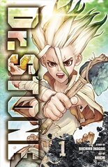 Dr. STONE, Vol. 1: Stone World kaina ir informacija | Fantastinės, mistinės knygos | pigu.lt