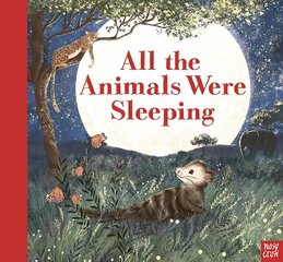 All the Animals Were Sleeping kaina ir informacija | Knygos mažiesiems | pigu.lt
