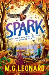 Spark цена и информация | Книги для подростков и молодежи | pigu.lt