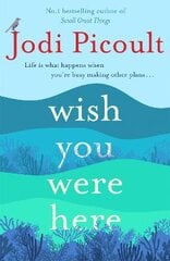 Wish You Were Here: The Sunday Times bestseller readers are raving about kaina ir informacija | Fantastinės, mistinės knygos | pigu.lt