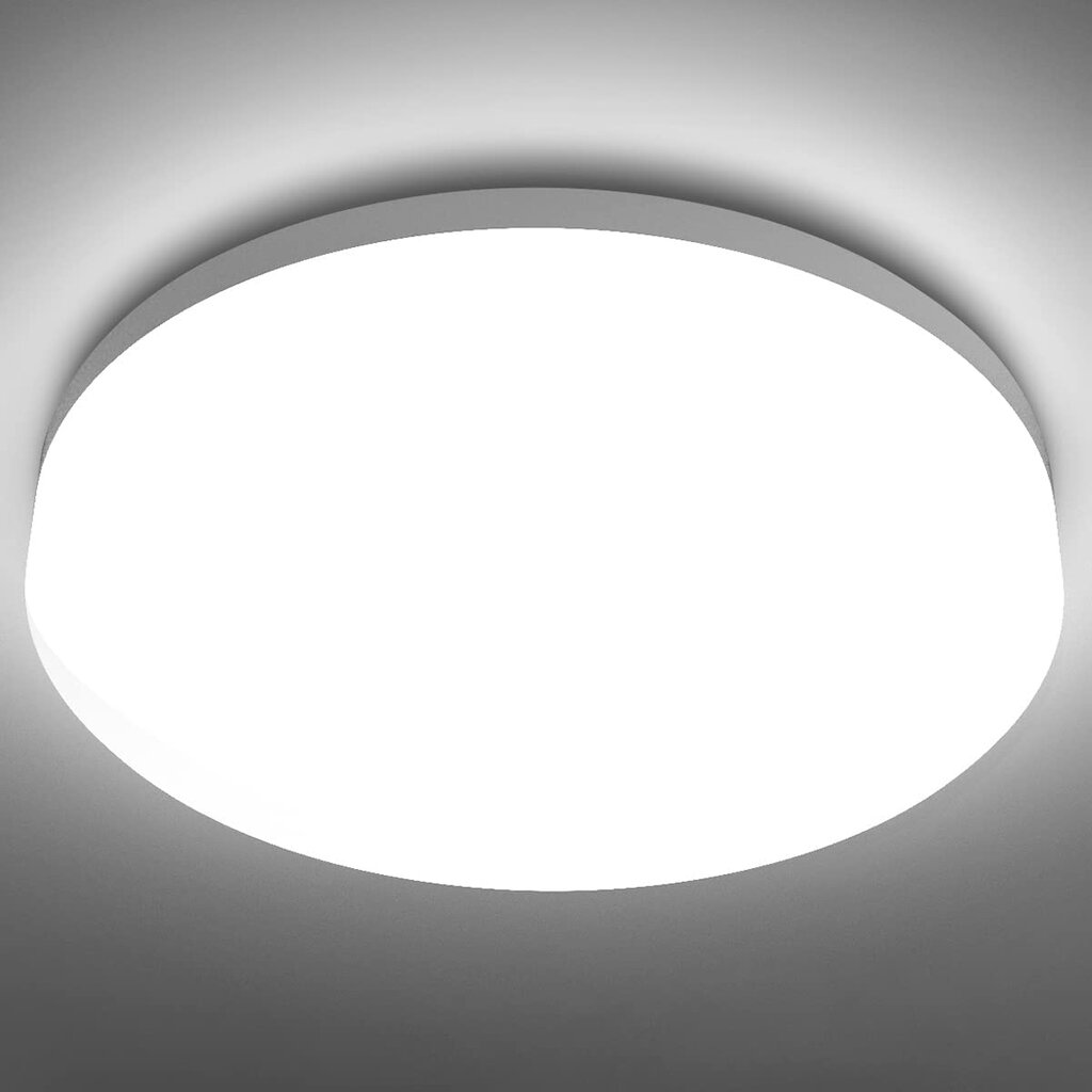 24W RGB LED šviestuvas su nuotoliniu valdymu 2700-6500K Dimeriuojamas kaina ir informacija | Lubiniai šviestuvai | pigu.lt