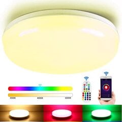 24W RGB LED šviestuvas su nuotoliniu valdymu 2700-6500K Dimeriuojamas цена и информация | Потолочные светильники | pigu.lt