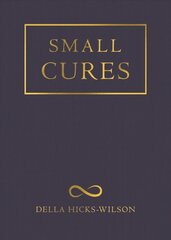 Small Cures kaina ir informacija | Poezija | pigu.lt