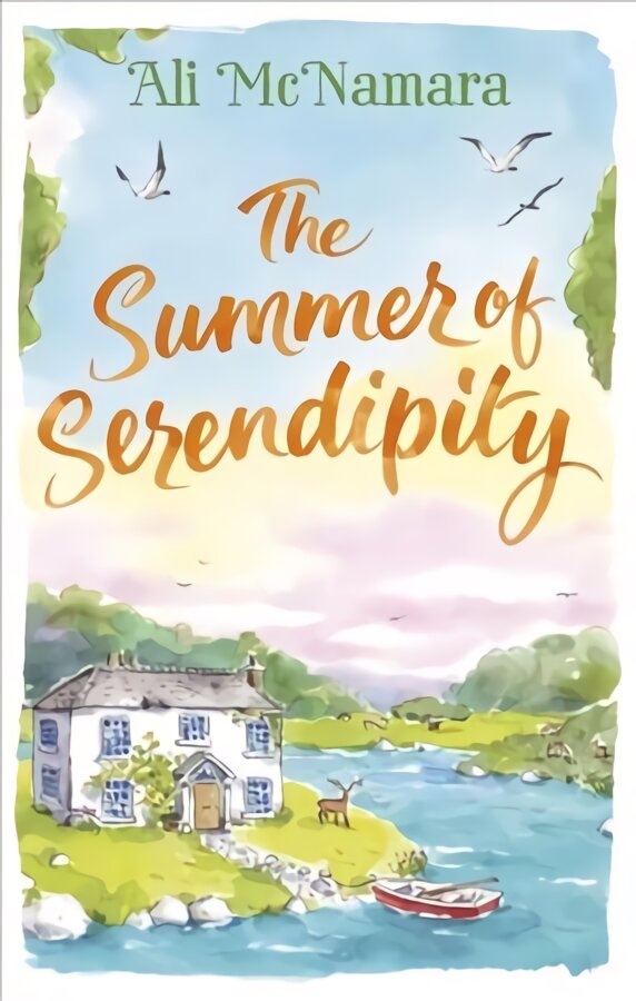 Summer of Serendipity: The magical feel good perfect holiday read цена и информация | Fantastinės, mistinės knygos | pigu.lt
