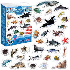 Magnetinių lipdukų rinkinys Jūros gyvūnai, 30 vnt. kaina ir informacija | Lavinamieji žaislai | pigu.lt