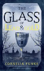 Glass of Lead and Gold цена и информация | Книги для подростков и молодежи | pigu.lt