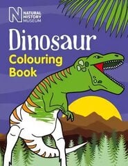 Dinosaur Colouring Book kaina ir informacija | Knygos mažiesiems | pigu.lt