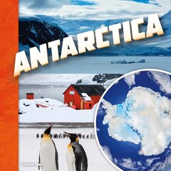 Antarctica kaina ir informacija | Knygos paaugliams ir jaunimui | pigu.lt