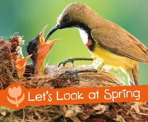 Let's Look at Spring: A 4D Book цена и информация | Книги для подростков  | pigu.lt