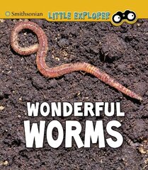 Wonderful Worms цена и информация | Книги для подростков  | pigu.lt