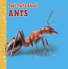 Fast Facts About Ants kaina ir informacija | Knygos paaugliams ir jaunimui | pigu.lt