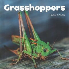 Grasshoppers kaina ir informacija | Knygos paaugliams ir jaunimui | pigu.lt