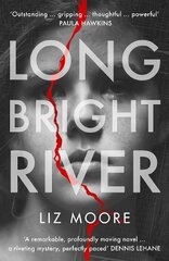 Long Bright River: an intense family thriller цена и информация | Фантастика, фэнтези | pigu.lt