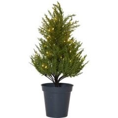 Dekoratyvinis medis žalias 55cm 40LED 3AA Thuja 600-25 kaina ir informacija | Kalėdinės dekoracijos | pigu.lt