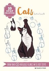 10 Step Drawing: Cats: Draw Over 50 Fabulous Felines in 10 Easy Steps цена и информация | Книги об искусстве | pigu.lt