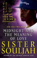 Midnight and the Meaning of Love: A Novel kaina ir informacija | Fantastinės, mistinės knygos | pigu.lt