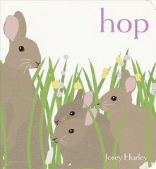 Hop цена и информация | Книги для малышей | pigu.lt