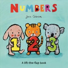 Numbers: To Infinity and Beyond цена и информация | Книги для самых маленьких | pigu.lt