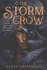 The Storm Crow цена и информация | Книги для подростков  | pigu.lt