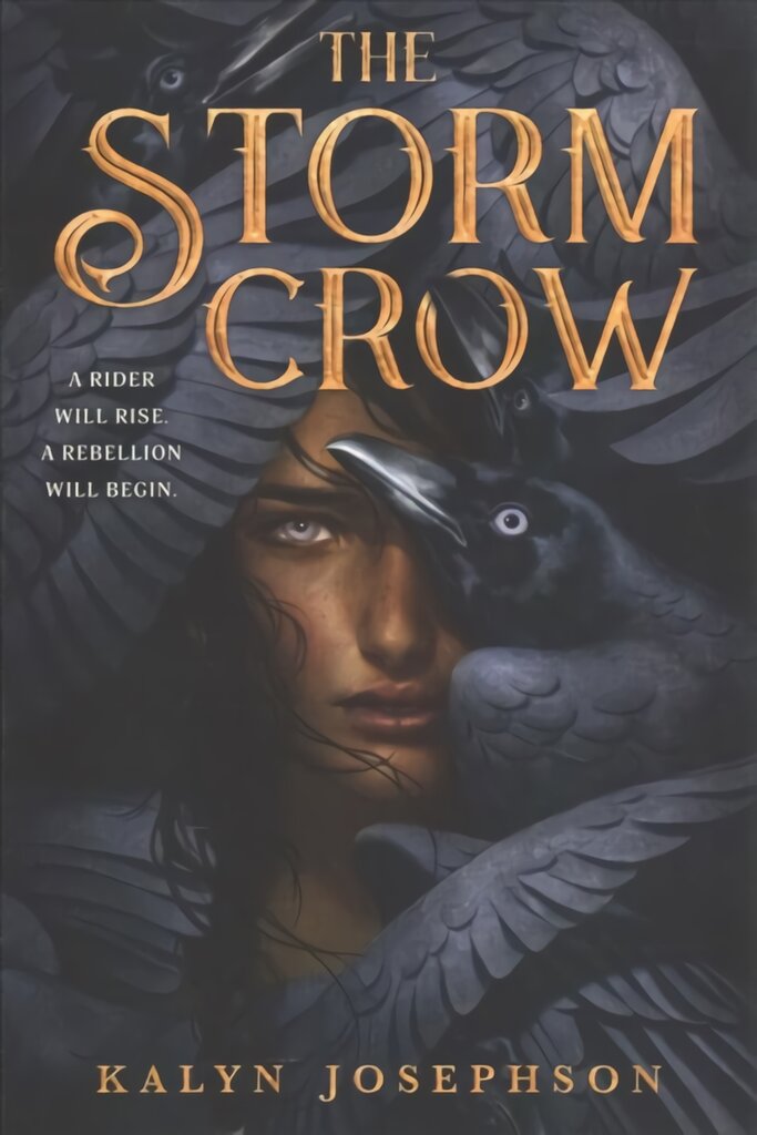 The Storm Crow цена и информация | Knygos paaugliams ir jaunimui | pigu.lt