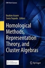 Homological Methods, Representation Theory, and Cluster Algebras 1st ed. 2018 цена и информация | Книги по экономике | pigu.lt