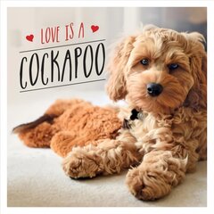 Love is a Cockapoo: A Dog-Tastic Celebration of the World's Cutest Breed цена и информация | Книги по фотографии | pigu.lt