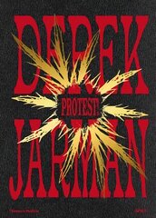 Derek Jarman: Protest! kaina ir informacija | Knygos apie meną | pigu.lt
