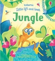 Little Lift and Look Jungle цена и информация | Книги для малышей | pigu.lt