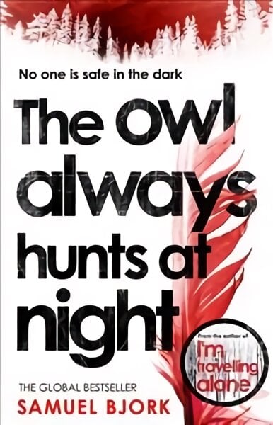 Owl Always Hunts at Night: (Munch and Kruger Book 2) kaina ir informacija | Fantastinės, mistinės knygos | pigu.lt