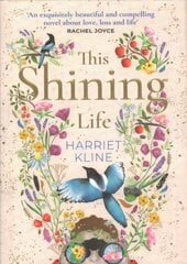 This Shining Life: a powerful novel about treasuring life kaina ir informacija | Fantastinės, mistinės knygos | pigu.lt