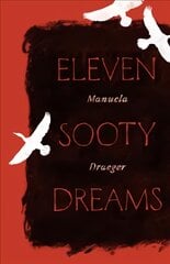 Eleven Sooty Dreams цена и информация | Фантастика, фэнтези | pigu.lt