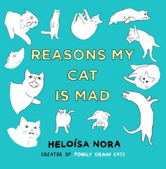 Reasons My Cat Is Mad kaina ir informacija | Fantastinės, mistinės knygos | pigu.lt