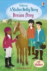 Dream Pony: An Animal Rescue Dolls Story цена и информация | Книги для подростков  | pigu.lt