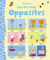 Lift-the-flap Opposites цена и информация | Книги для самых маленьких | pigu.lt