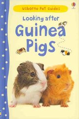 Looking after Guinea Pigs цена и информация | Энциклопедии, справочники | pigu.lt