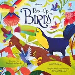 Pop-Up Birds цена и информация | Книги для малышей | pigu.lt