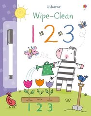 Wipe-Clean 123 цена и информация | Книги для самых маленьких | pigu.lt