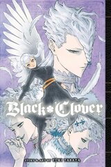 Black Clover, Vol. 19 kaina ir informacija | Fantastinės, mistinės knygos | pigu.lt